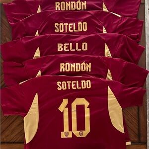 Franelas de la Vinotinto